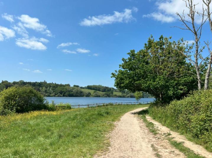 Quirky Vintage Horsebox Conversion With Stunning Views Of Ardingly Reservoir Balcombe Dış mekan fotoğraf